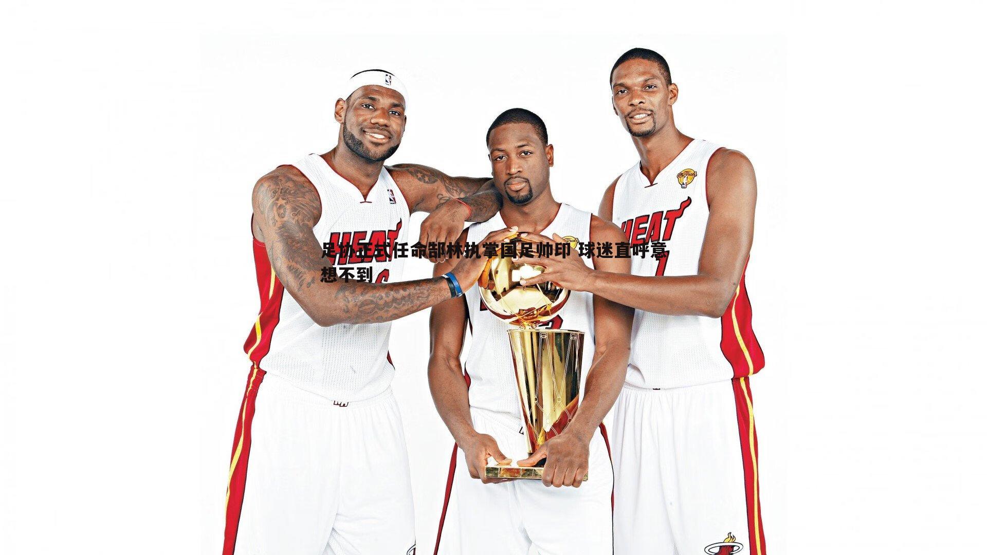 完美体育-足协正式任命郜林执掌国足帅印 球迷直呼意想不到