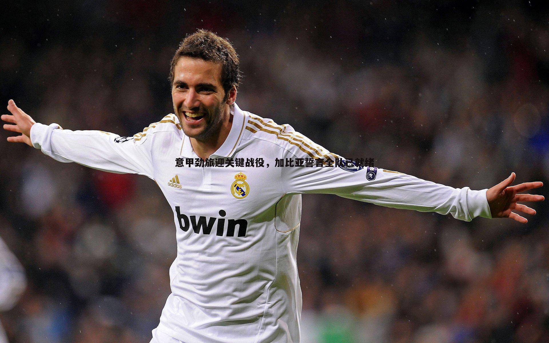 完美体育-意甲劲旅迎关键战役，加比亚誓言全队已就绪